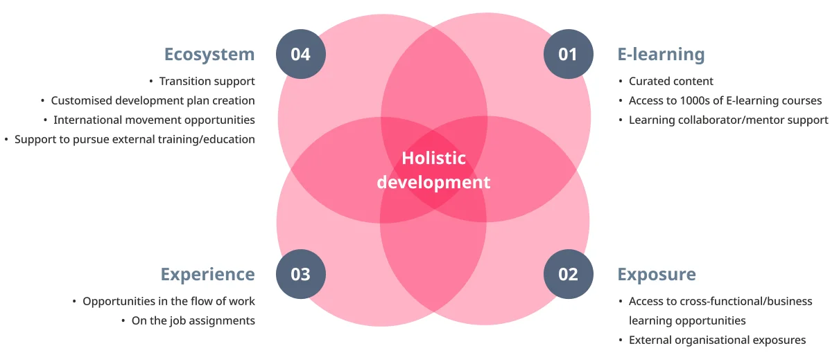 Holistic development graphic